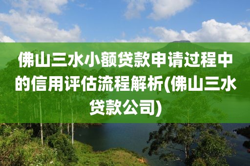 佛山三水小额贷款申请过程中的信用评估流程解析(佛山三水贷款公司)