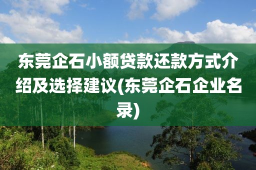 东莞企石小额贷款还款方式介绍及选择建议(东莞企石企业名录)