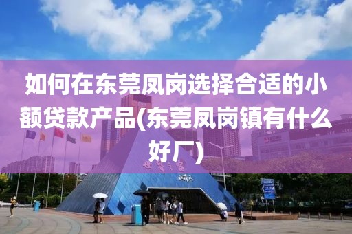 如何在东莞凤岗选择合适的小额贷款产品(东莞凤岗镇有什么好厂)