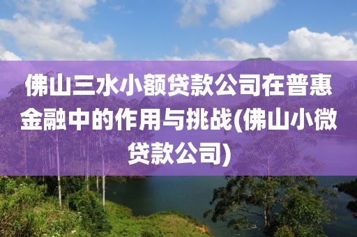 佛山三水小额贷款公司在普惠金融中的作用与挑战(佛山小微贷款公司)