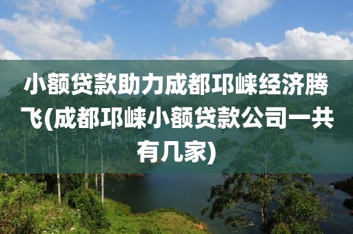 小额贷款助力成都邛崃经济腾飞(成都邛崃小额贷款公司一共有几家)