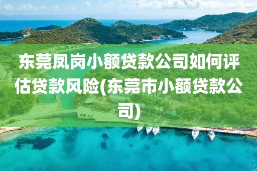 东莞凤岗小额贷款公司如何评估贷款风险(东莞市小额贷款公司)