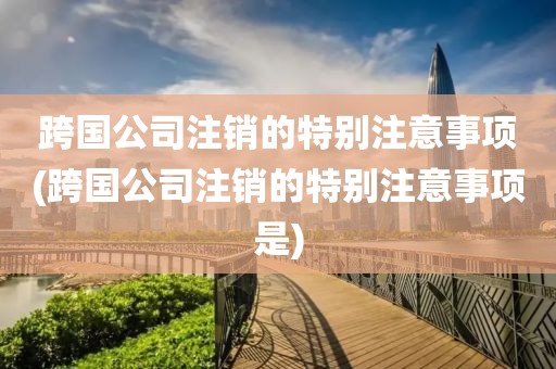 跨国公司注销的特别注意事项(跨国公司注销的特别注意事项是)