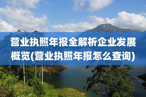 营业执照年报全解析企业发展概览(营业执照年报怎么查询)