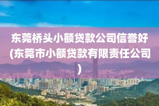 东莞桥头小额贷款公司信誉好(东莞市小额贷款有限责任公司)