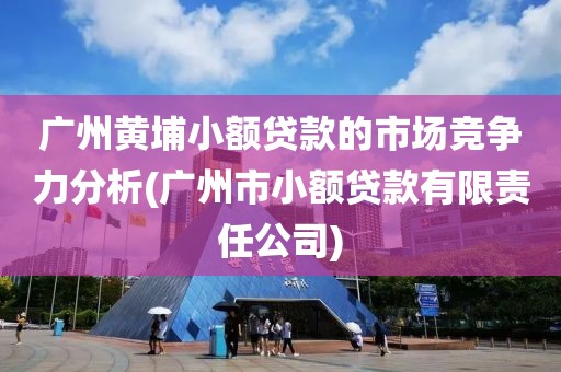 广州黄埔小额贷款的市场竞争力分析(广州市小额贷款有限责任公司)