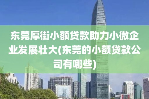 东莞厚街小额贷款助力小微企业发展壮大(东莞的小额贷款公司有哪些)