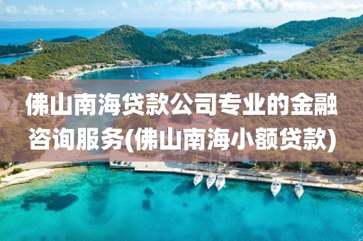 佛山南海贷款公司专业的金融咨询服务(佛山南海小额贷款)