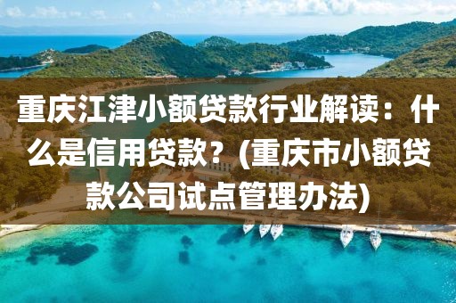 重庆江津小额贷款行业解读：什么是信用贷款？(重庆市小额贷款公司试点管理办法)