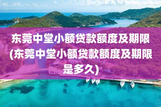 东莞中堂小额贷款额度及期限(东莞中堂小额贷款额度及期限是多久)