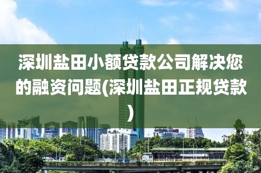 深圳盐田小额贷款公司解决您的融资问题(深圳盐田正规贷款)