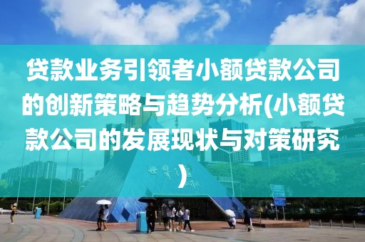 贷款业务引领者小额贷款公司的创新策略与趋势分析(小额贷款公司的发展现状与对策研究)