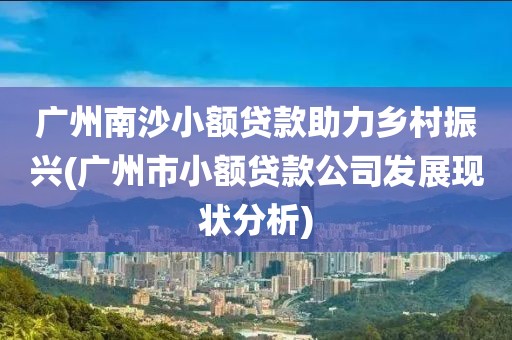 广州南沙小额贷款助力乡村振兴(广州市小额贷款公司发展现状分析)