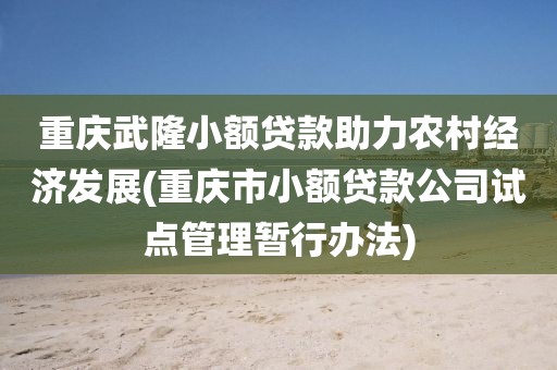 重庆武隆小额贷款助力农村经济发展(重庆市小额贷款公司试点管理暂行办法)