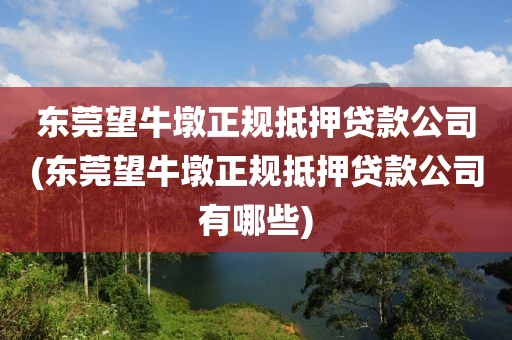 东莞望牛墩正规抵押贷款公司(东莞望牛墩正规抵押贷款公司有哪些)