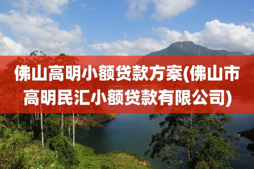 佛山高明小额贷款方案(佛山市高明民汇小额贷款有限公司)