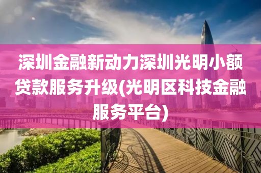 深圳金融新动力深圳光明小额贷款服务升级(光明区科技金融服务平台)