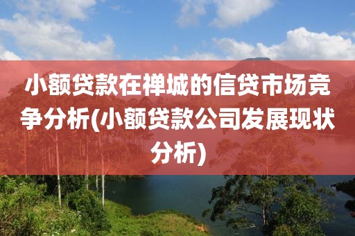 小额贷款在禅城的信贷市场竞争分析(小额贷款公司发展现状分析)