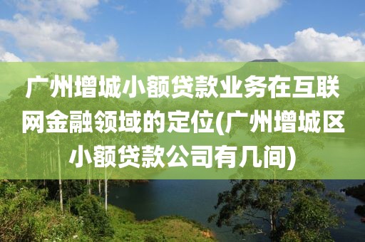 广州增城小额贷款业务在互联网金融领域的定位(广州增城区小额贷款公司有几间)