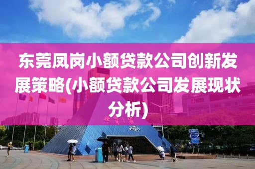 东莞凤岗小额贷款公司创新发展策略(小额贷款公司发展现状分析)